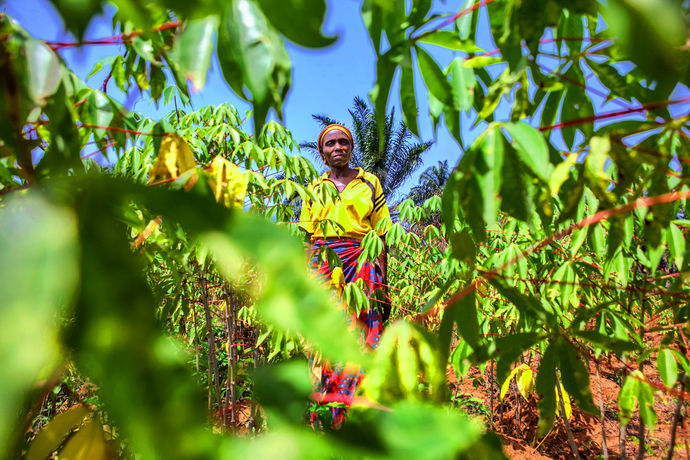 Woman farmer standing in her fields in Kogi state.