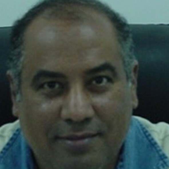 Gamal M. Kamal el-Din