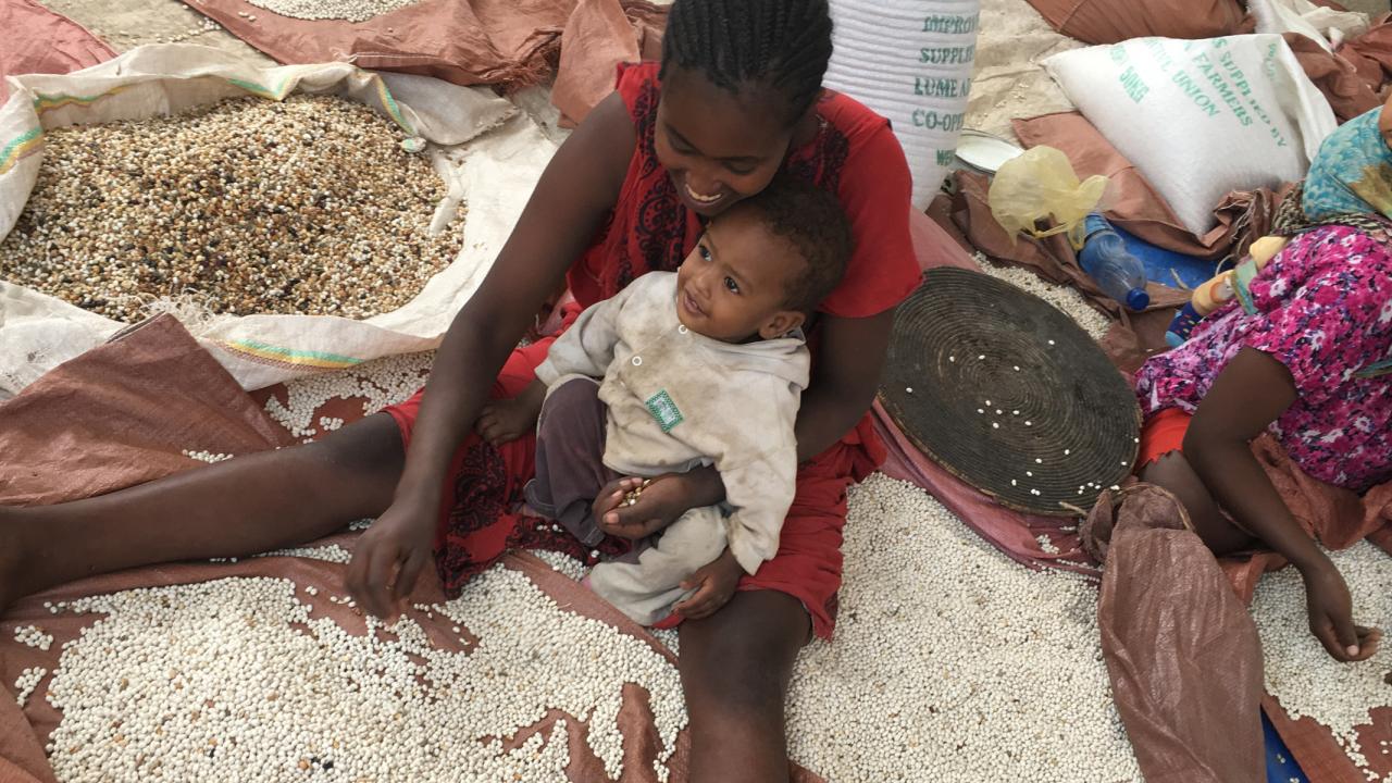 Lume Adama cereal cooperative in Oromia, Ethiopia