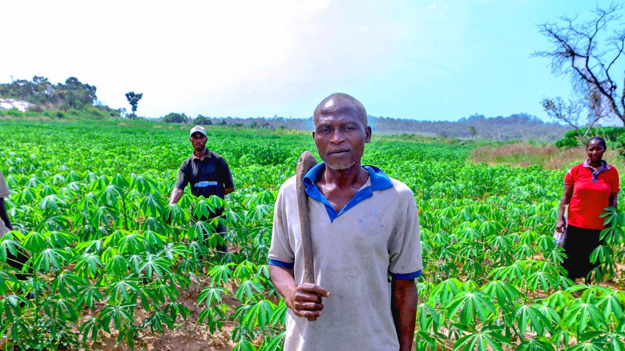 Smallholder farmers of Nigeria's Kogi State