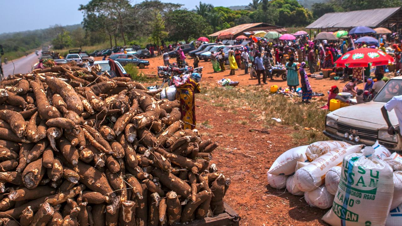 Marketplace with piles of cassava in Nigeria