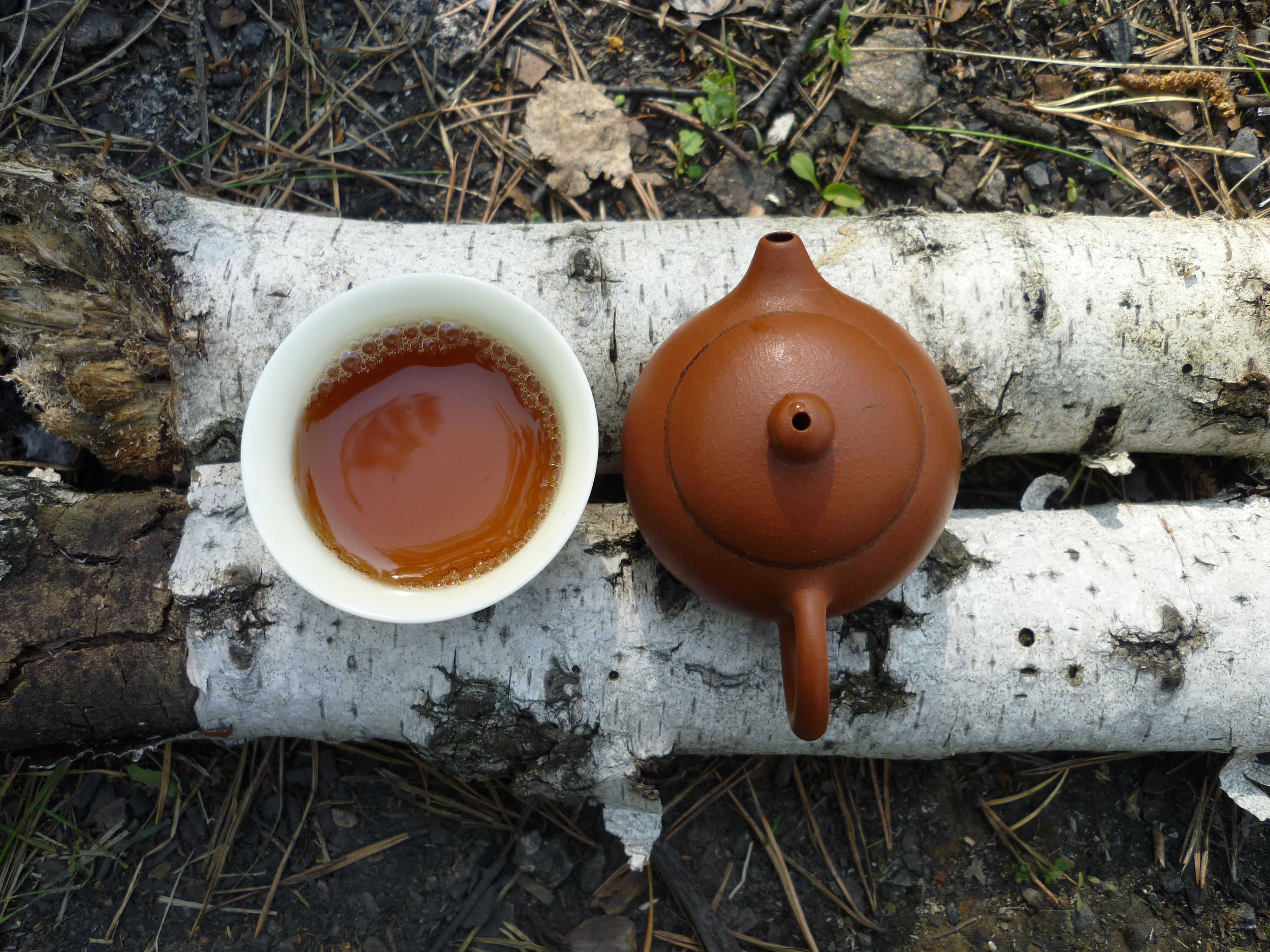 a cup of tea in nature