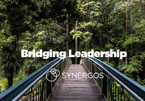 Bridging leadership