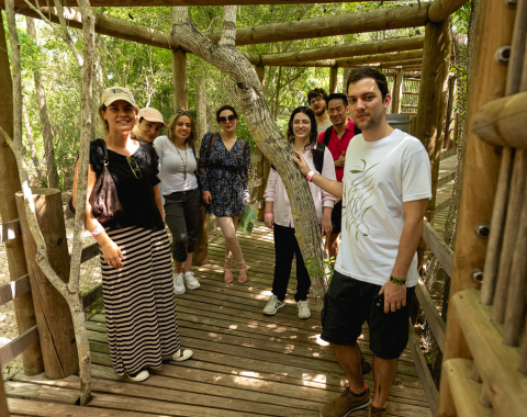 Learning Journeys