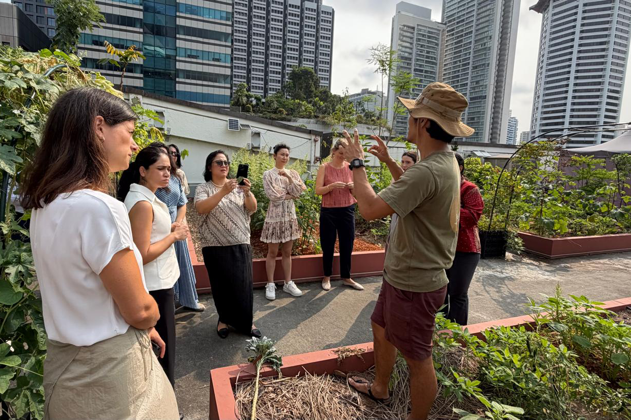 Rooftop agriculture