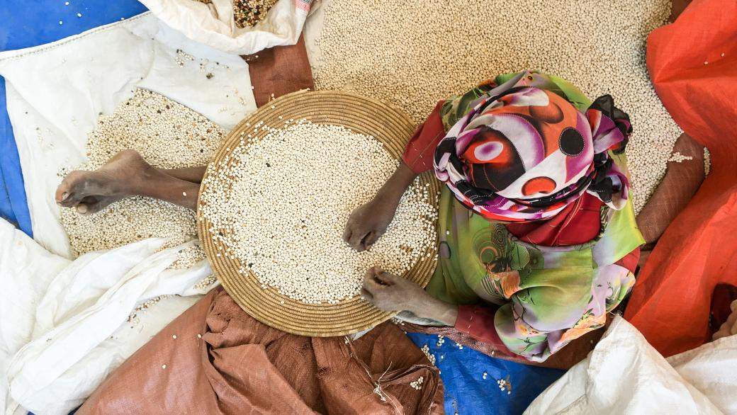 hero-featured-highlight-Ethiopia---Lume---Adama-cereal-cooperative---Synergos-2016-visit---MC---06---10.jpg