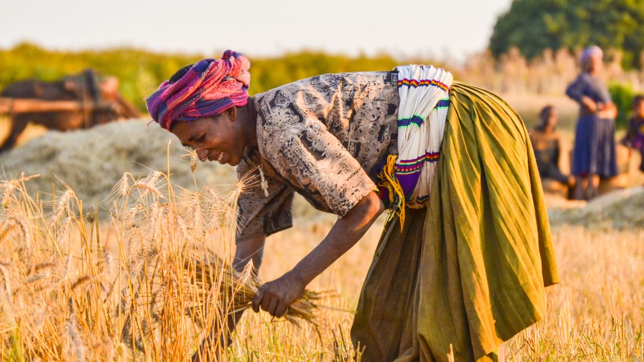 hero-2013-ethiopia---ATA-3rd-farmer-overnight-953.jpg