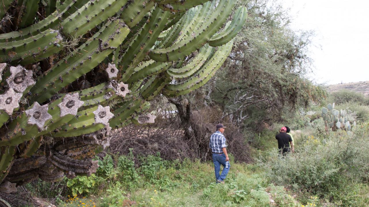 Group next to large cacti in Guanajuato, Mexico