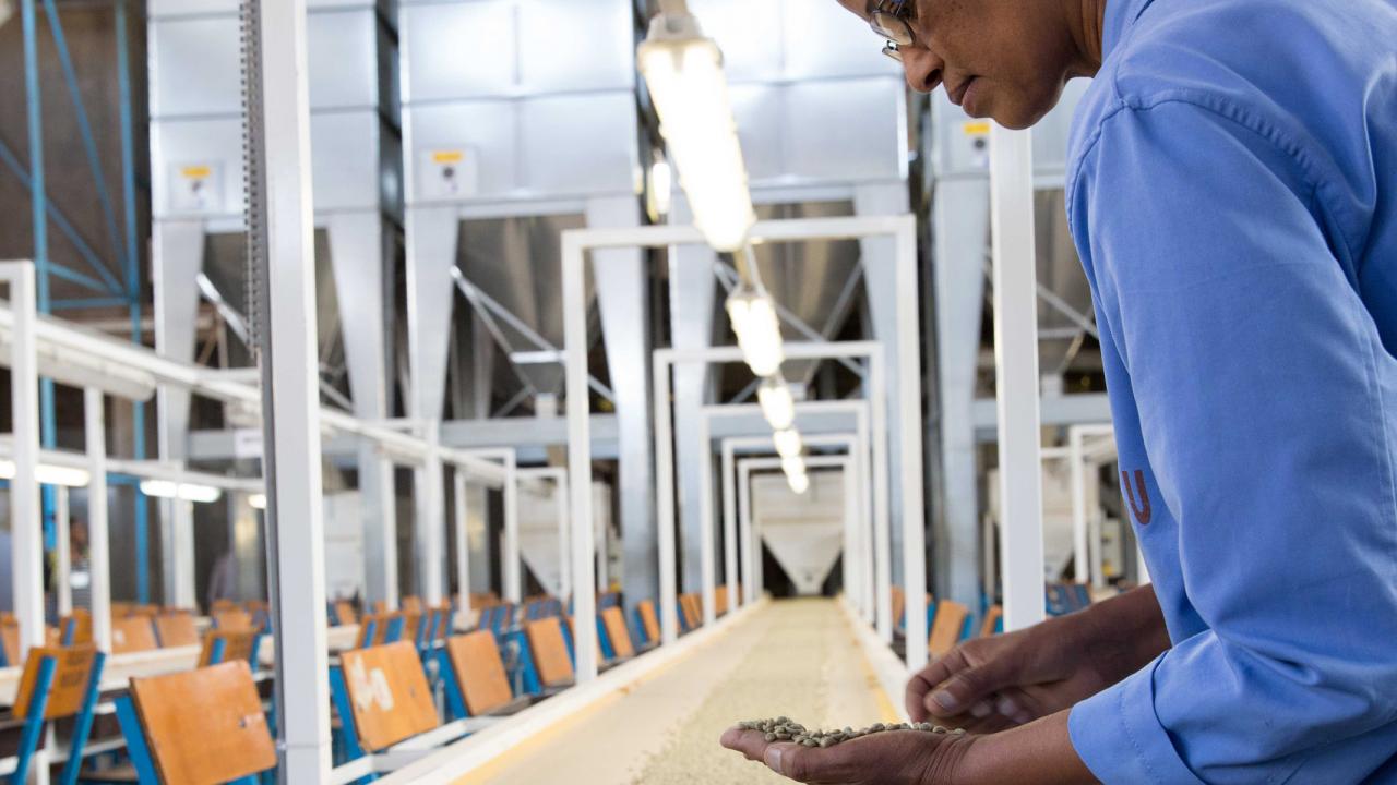 Coffee cooperative in Ethiopia