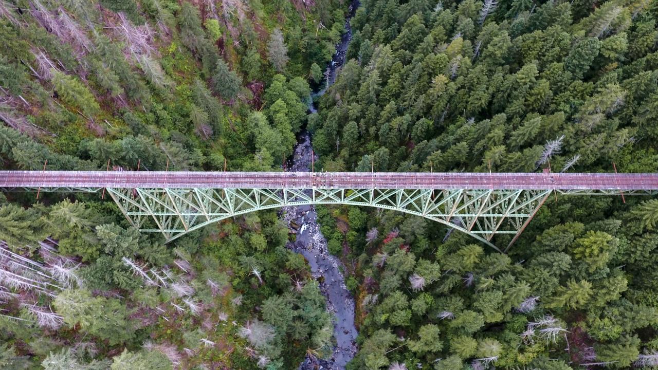 hero-2019-aerial-view-bridge-and-trees.jpg