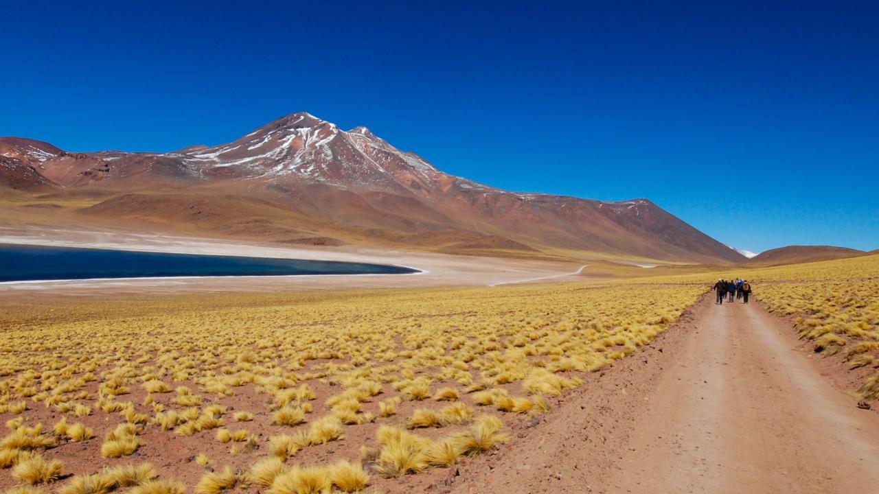 Miniques, San Pedro, Chile