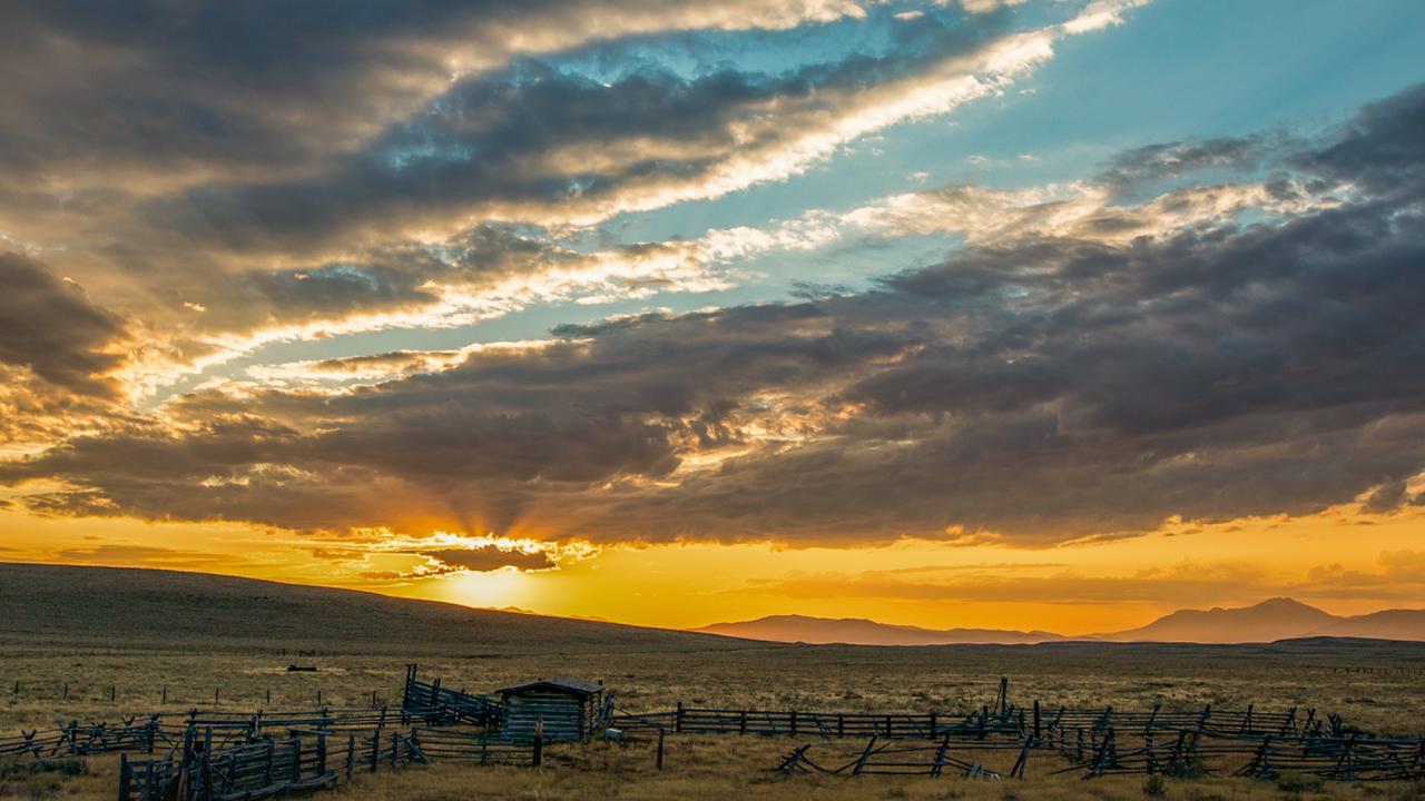 Montana sky