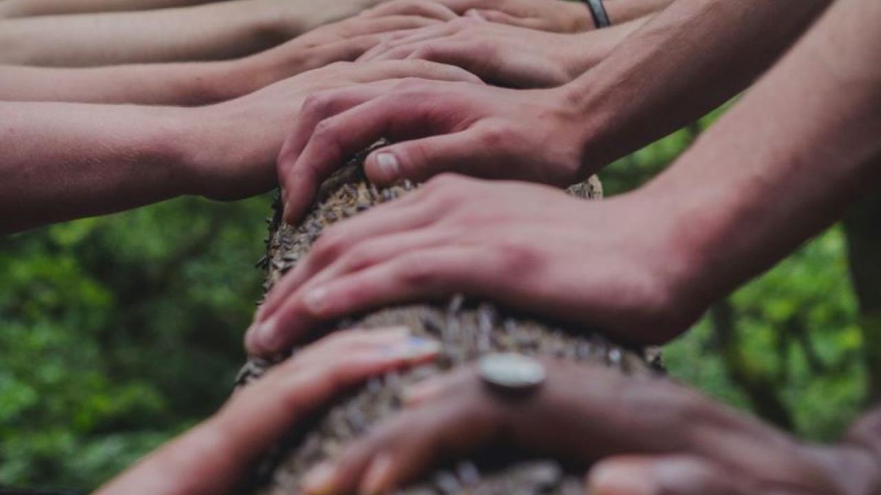 community of hands touching a tree