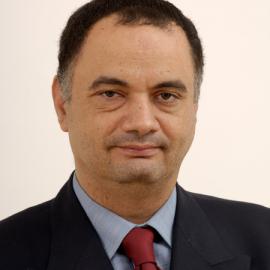 Tamer Anis
