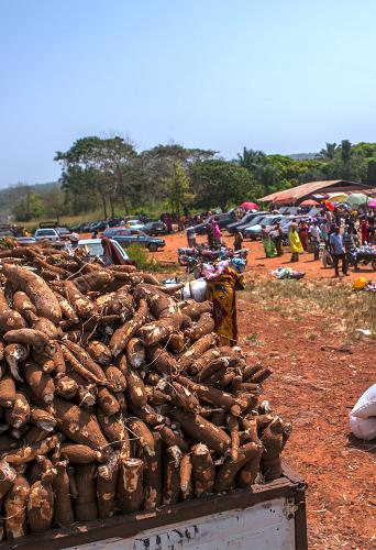 Marketplace with piles of cassava in Nigeria