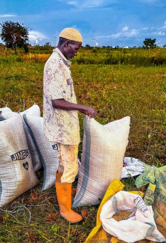 Farmer in Kaduna State, Nigeria